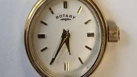 Roscommon Gardaí seek owner of missing watch