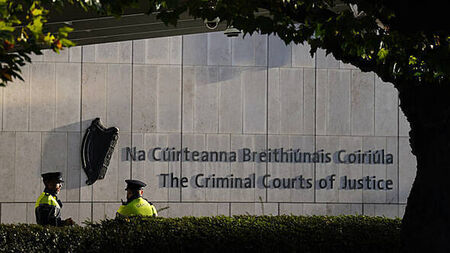 Murder accused told gardaí he 'might have' stabbed partner with 'very sharp' knife, jury hears