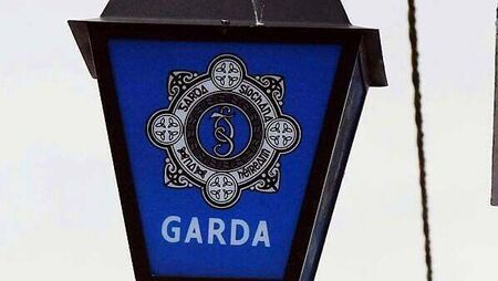 Cork politician arrested as part of fraud investigation Cork politician arrested as part of fraud investigation
