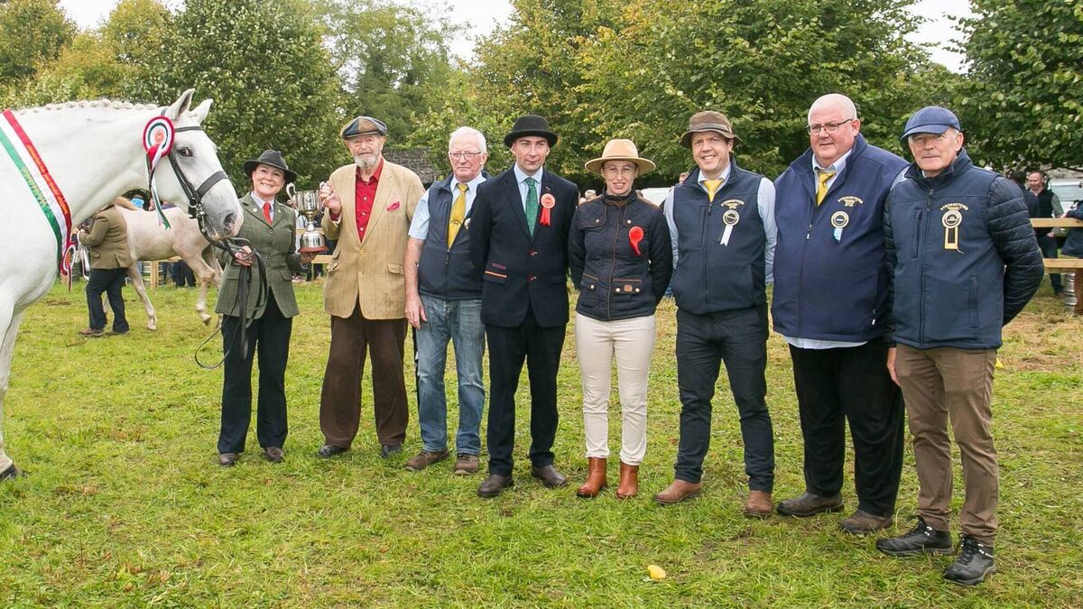 Local agricultural shows receive thousands in funding
