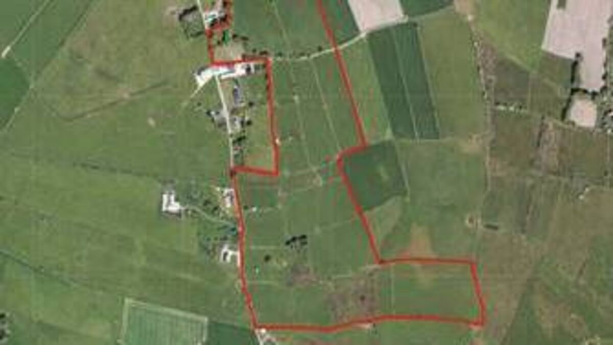 Forty four acre County Roscommon farm on the market