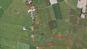 Forty four acre County Roscommon farm on the market