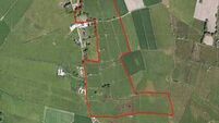 Forty four acre County Roscommon farm on the market
