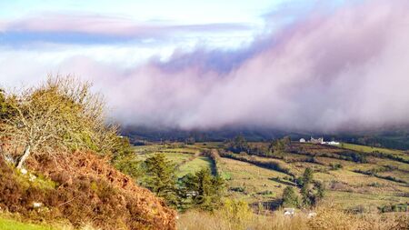 County Roscommon tourist attraction revealed as third 'must visit' location for visitors