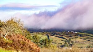 County Roscommon tourist attraction revealed as third 'must visit' location for visitors County Roscommon tourist attraction revealed as third 'must visit' location for visitors