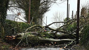 'Absolutely no need for red warning': Met Éireann received complaints over Storm Éowyn forecast 'Absolutely no need for red warning': Met Éireann received complaints over Storm Éowyn forecast