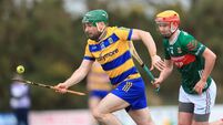Kenny strikes late to maintain hurlers' league status