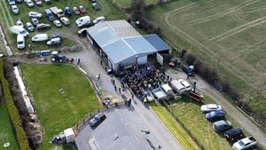 Ford 6410 tractor sells for €17,000 at County Roscommon farm machinery auction