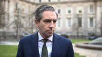 Need for ‘maturity’ in EU-US talks on tariffs, Harris says