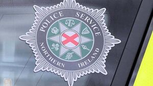 Man (25) arrested in relation to Down wildfire
