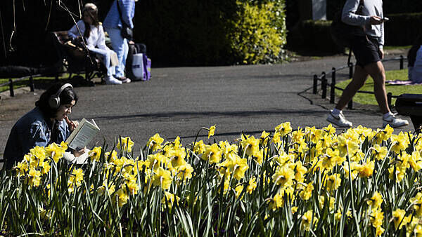 Sunny weather set to continue through the week with highs of 19 degrees