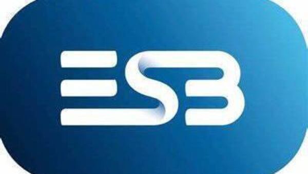 ESB issues safety reminder after local power outage yesterday