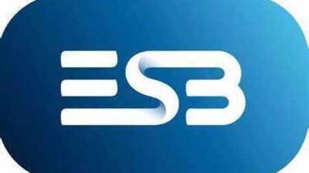 ESB issues safety reminder after local power outage yesterday