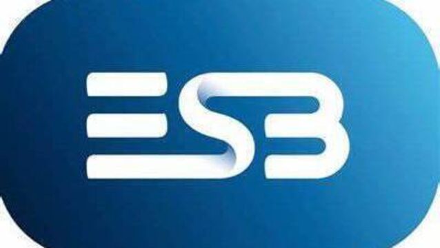 <p>ESB logo</p>