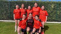Local Notes: Windmill Wheelers, Spring clean-up and Shannon Gaels GAA club night