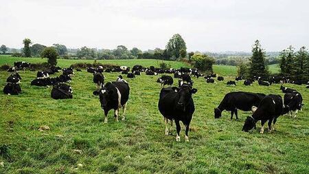 Public underestimate how worried farmers are about climate change, report reveals