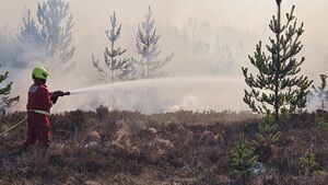 Watch: Firefighters tackle West Roscommon blaze Watch: Firefighters tackle West Roscommon blaze