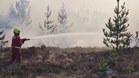 Watch: Firefighters tackle West Roscommon blaze