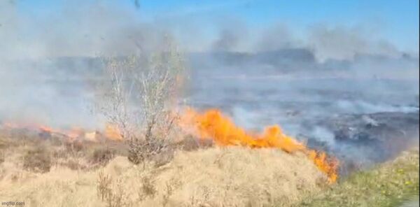 Flames at the roadside.