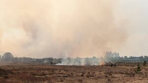 Evidence West Roscommon fires were started deliberately, says fire service