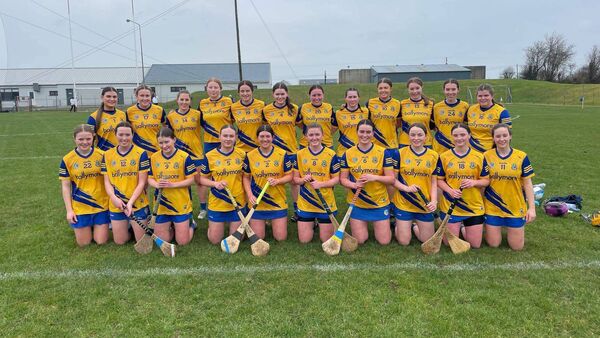 Roscommon revival not enough to deny Laois