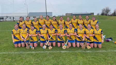 Roscommon revival not enough to deny Laois