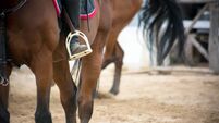 Contractor sought to build new County Roscommon indoor horse arena 