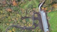 Minister to open County Roscommon's new €1m greenway