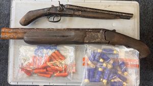 Gardai seize firearms and ammunition