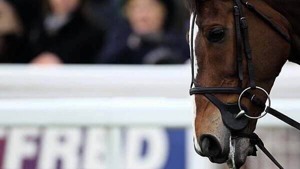 Man who took racehorse is 'perilously' close to being jailed if he does not return it