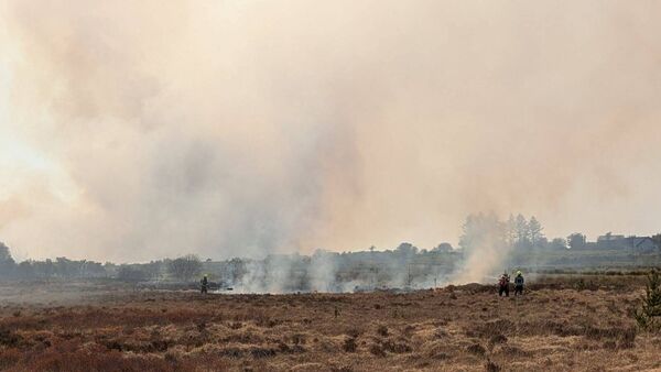 Emergency services at scene of bog fire