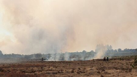 Emergency services at scene of bog fire