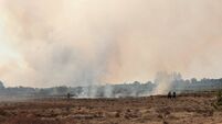 Emergency services at scene of bog fire