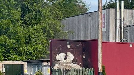 Warning after disposable barbecue causes fire at County Roscommon park