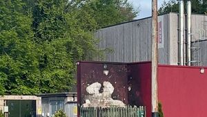 Warning after disposable barbecue causes fire at County Roscommon park