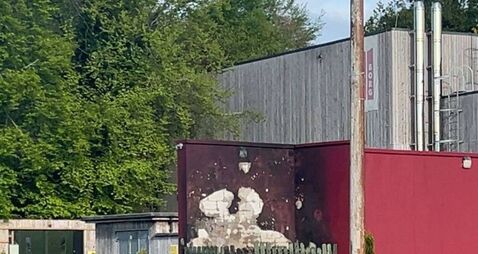 Warning after disposable barbecue causes fire at County Roscommon park