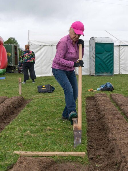 Pauline Lavin from Strokestown hard at work with her loy at the Leitrim County Ploughing Championships. She sill take part in the Roscommon Ploughing Championships later today, Sunday. Pic: Gerry Faughnan