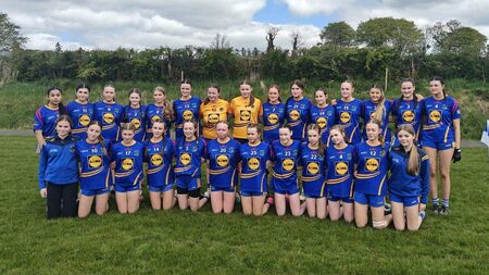 Superb Féile final goes Clann na nGael’s way
