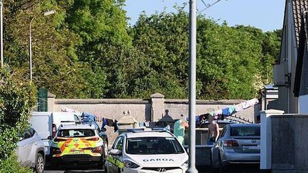 Over 30 arrested on outstanding warrants by gardaí in Askeaton