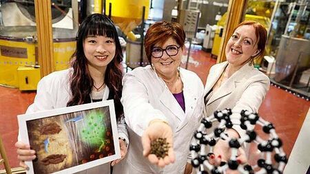 Research shows how used coffee grounds help cancer treatement