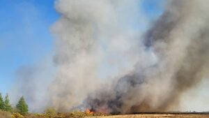 Delay in fire service response was a matter of 'life and death', Seanad told Delay in fire service response was a matter of 'life and death', Seanad told