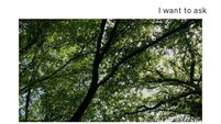 ‘I Want To Ask A Question’ on exhibition in Roscommon
