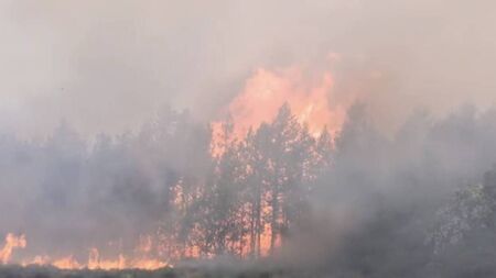 Homes being evacuated and livestock being moved as forest fire rages in West Roscommon