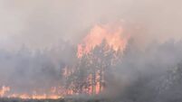 Homes being evacuated and livestock being moved as forest fire rages in West Roscommon
