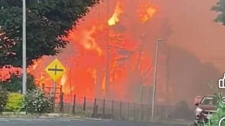 Watch: Dramatic footage of raging forest fire in West Roscommon reaching roadside