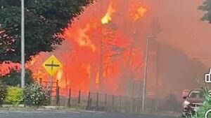 Watch: Dramatic footage of raging forest fire in West Roscommon reaching roadside