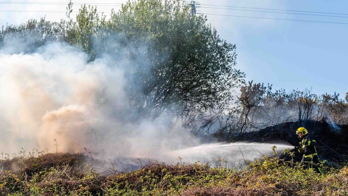 Gorse fire brought under control at Roosky