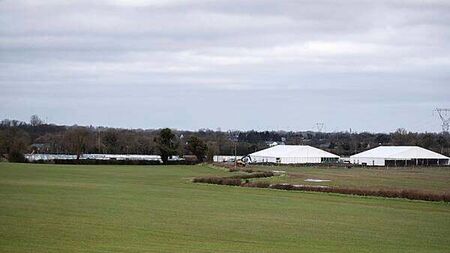 Report finds five IPAS centres were non-complaint with standards