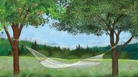Herald Opinion: What has happened to the simple things in life?