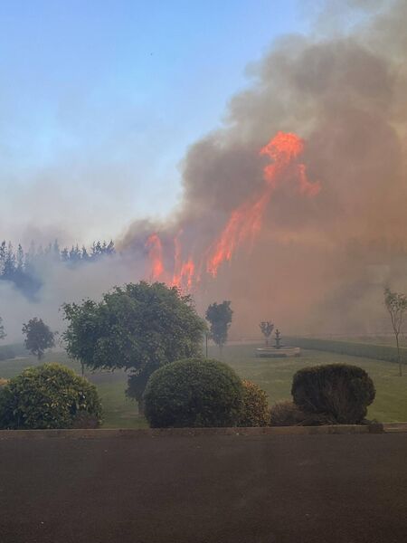 This photograph taken by a local person from the window of their Gorthaganny home shows how close the fire came to their backgarden. This photograph taken by a local person from the window of their Gorthaganny home shows how close the fire came to their backgarden.